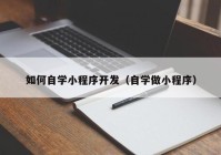 如何自學小程序開發(fā)（自學做小程序）
