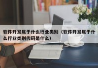 軟件開(kāi)發(fā)屬于什么行業(yè)類(lèi)別（軟件開(kāi)發(fā)屬于什么行業(yè)類(lèi)別代碼是什么）