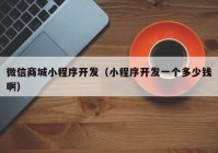 微信商城小程序開發(fā)（小程序開發(fā)一個多少錢?。? /></a>
		</div>
		<div   id=