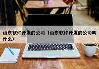 山東軟件開(kāi)發(fā)的公司（山東軟件開(kāi)發(fā)的公司叫什么）