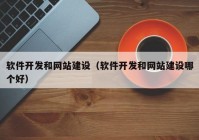 軟件開發(fā)和網(wǎng)站建設（軟件開發(fā)和網(wǎng)站建設哪個好）