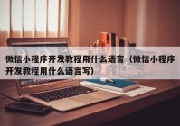 微信小程序開(kāi)發(fā)教程用什么語(yǔ)言（微信小程序開(kāi)發(fā)教程用什么語(yǔ)言寫(xiě)）