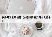 軟件開(kāi)發(fā)公司推薦（小程序開(kāi)發(fā)公司十大排名）