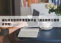 湖北綜合軟件開發(fā)定制平臺(tái)（湖北軟件工程技術(shù)學(xué)院）