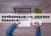 軟件開(kāi)發(fā)培訓(xùn)班多少錢一個(gè)月（軟件開(kāi)發(fā)培訓(xùn)班出來(lái)的怎么樣）