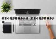 抖音小程序開(kāi)發(fā)多少錢（抖音小程序開(kāi)發(fā)多少錢）